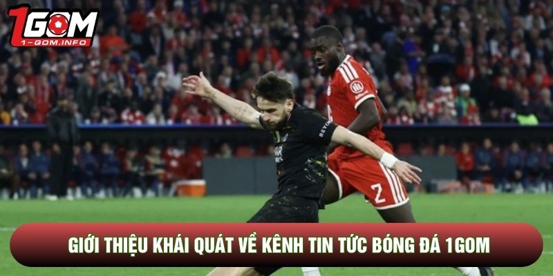 Giới thiệu khái quát về kênh tin tức bóng đá 1Gom