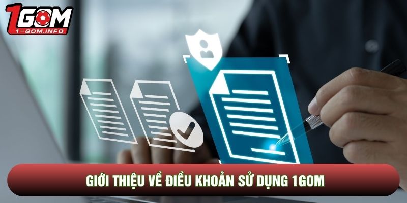 Giới thiệu về điều khoản sử dụng 1Gom