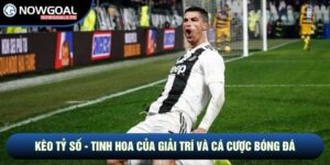 Kèo Tỷ Số - Tinh Hoa Của Giải Trí Và Cá Cược Bóng Đá