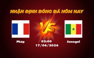 phap senegal 17 06 fifa world cup